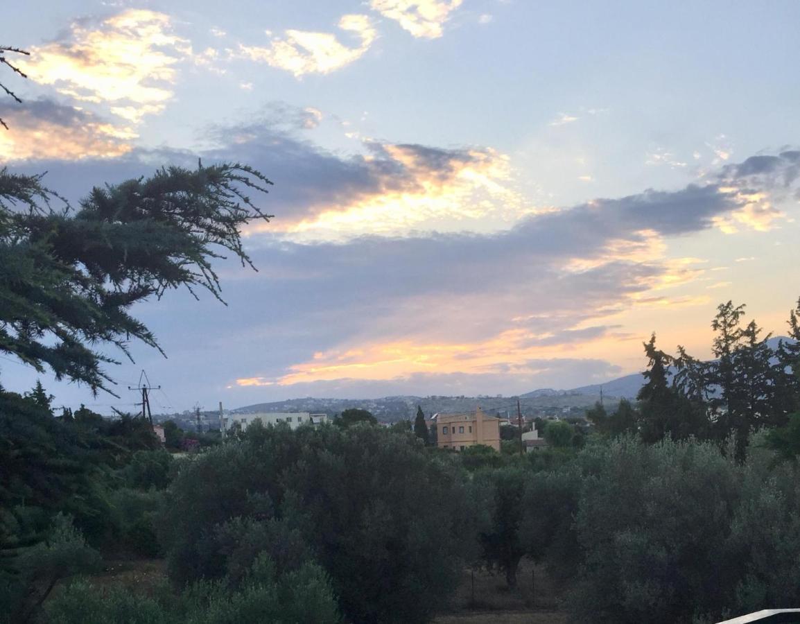 Small Apartment Near Athens Airport Pikérmion Екстериор снимка